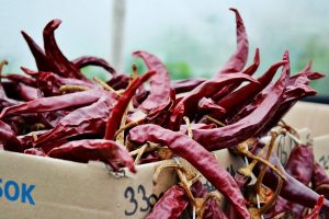 Interview with Márk Bogár, Hungarian chili farmer @hungarianchilifarmer