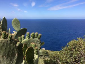 12 reasons why you should add the enchanting Island of Capri to your bucket list