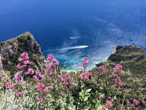 12 reasons why you should add the enchanting Island of Capri to your bucket list